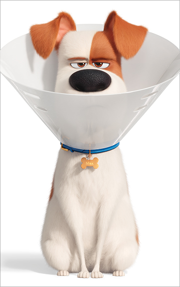 The Secret Life of Pets 2